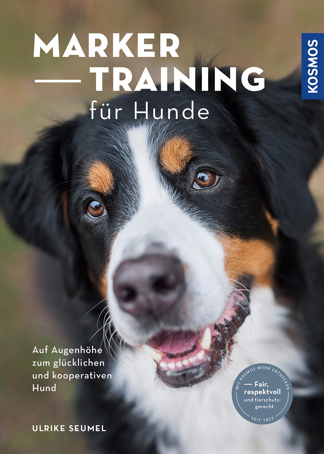 Markertraining für Hunde